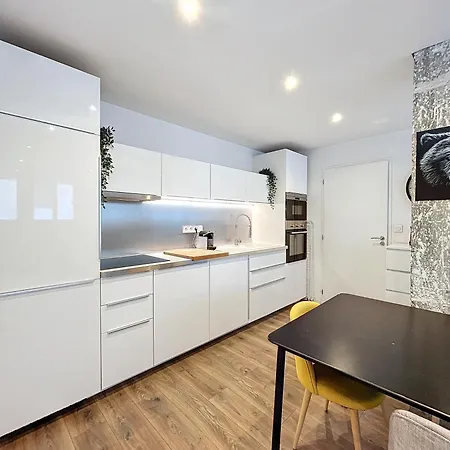 Hypercentre, T2 Style Loft , Fibre Appartement Grenoble